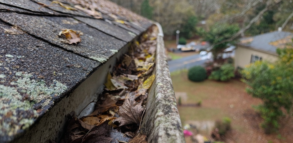 Clogged gutter before cleaning